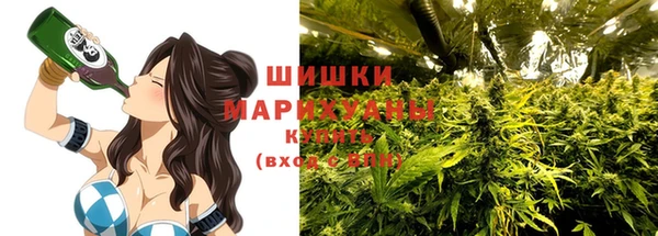 ешки Каменногорск
