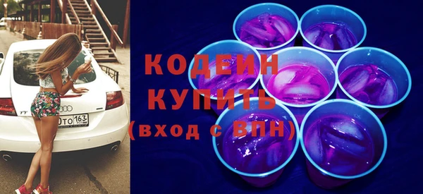 амф Каменка