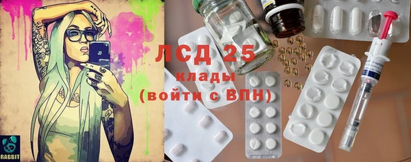 ешки Каменногорск