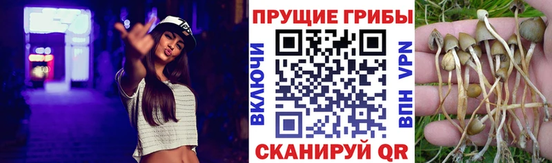 hydra ONION  Октябрьский  Псилоцибиновые грибы Psilocybine cubensis 