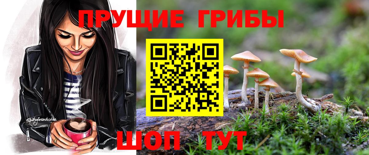 Галлюциногенные грибы прущие грибы Октябрьский