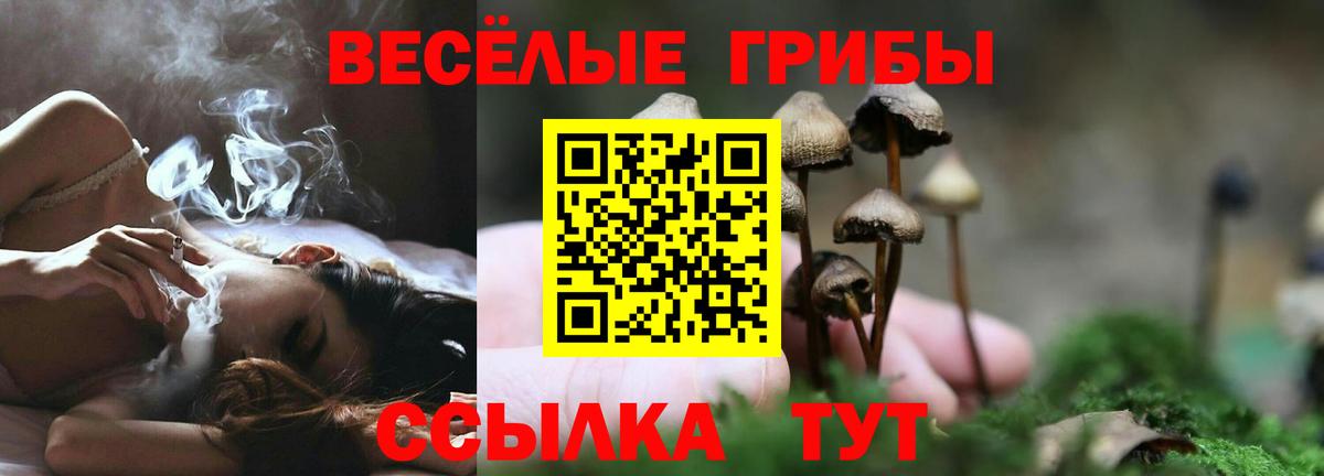 Октябрьский  Псилоцибиновые грибы Psilocybine cubensis  Вход с VPN 